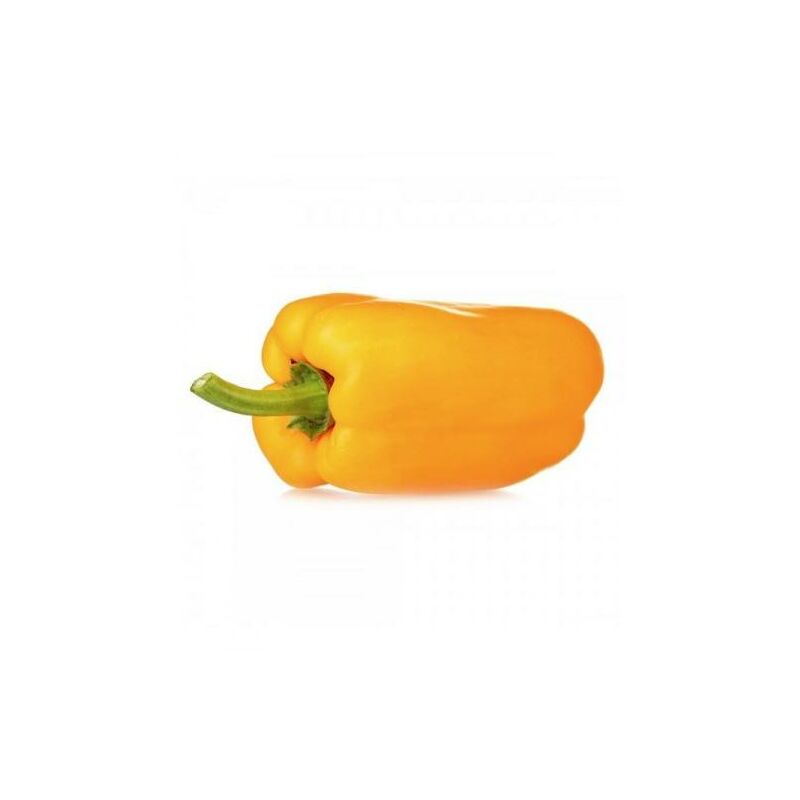 

Plantón de Pimiento Asar 6 uds. Gama Tradicional.