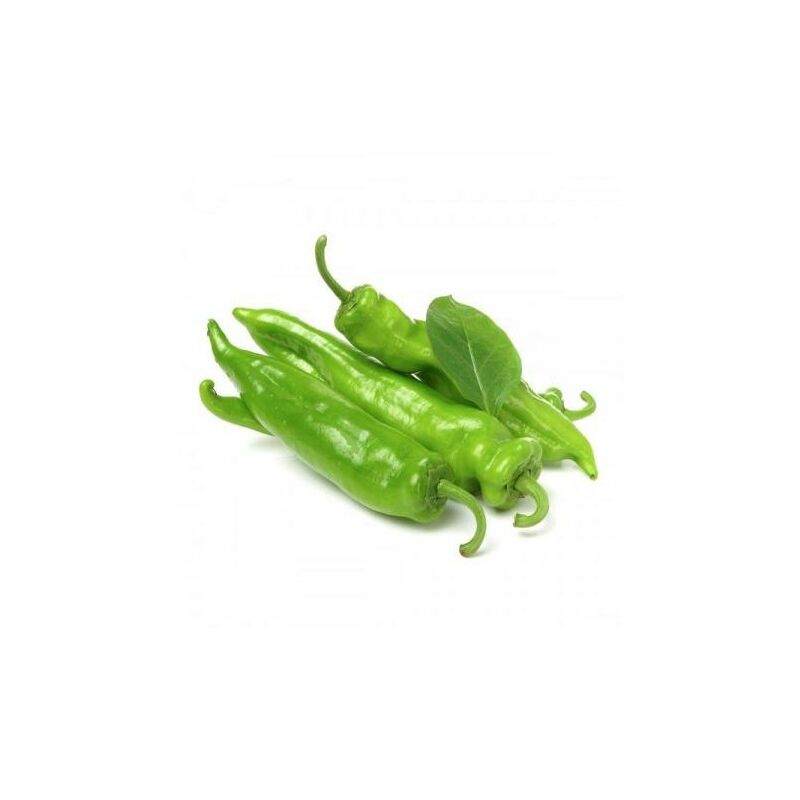 

Plantón de Pimiento Italiano 6 uds. Gama Tradicional.