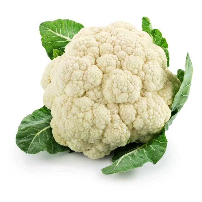 

Coliflor Ecologica Maceta 11Cm