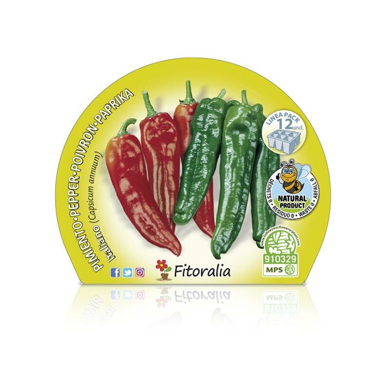 

Plantón natural de Pimiento Italiano Pack 12 ud. 34x32mm