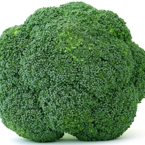 Plants de Chou brocoli Koros F1/Barquette de 6 mottes