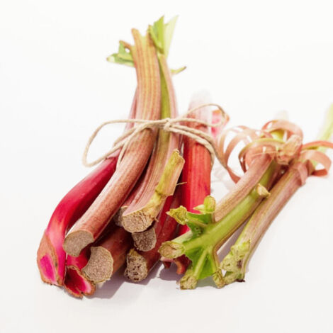 Plants de Rhubarbe des jardins Victoria/Pot de 1L