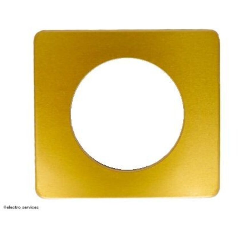 Plaque de finition - 1 Poste - Laiton Satiné - Céliane - CP1201 Legrand