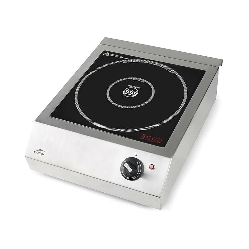 Plaque à induction portable, 10 niveaux de puissance, adaptée aux diamètres compris entre Ø12 cm et Ø28 cm, 3500 W, acier inoxyd