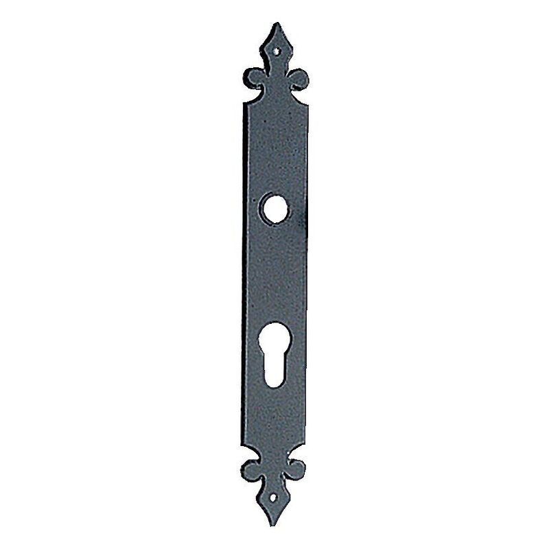 Tirard - Plaque aluminium finition noir pour grilles et portails clé i