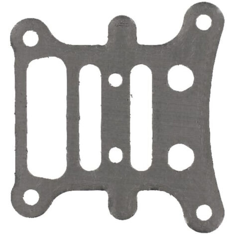 Plaque BRIGGS ET STRATTON 796473
