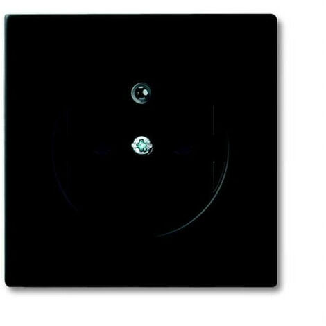 Plaque Centrale Pour Prise De Courant Noir Mat 2CKA002099A0256 ABB 587158
