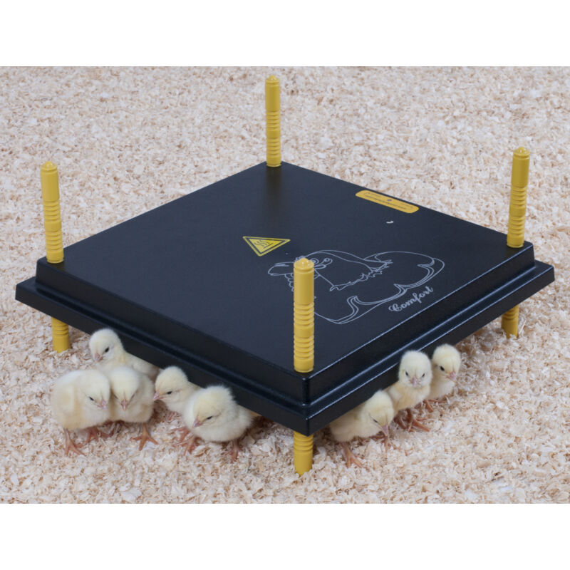 Panneau chauffant, 40x40 cm, pour poussin