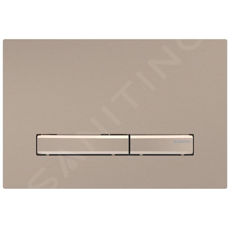 Plaque de commande Geberit Sigma50 pour rinçage à 2 quantités,