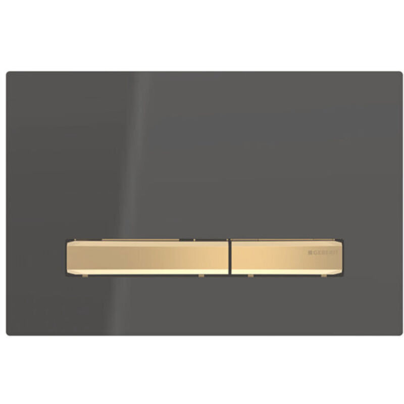 Plaque de fixation Geberit Sigma50, pour rinçage à 2 quantités,