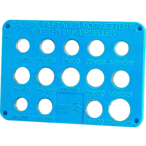 Plaque de contrôle pour têtes - RIQUIER