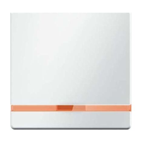 Plaque de finition Berker 16216089 blanc duroplast