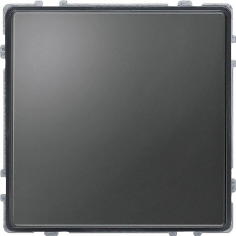 Plaque de finition Merten 348314 gris IP20