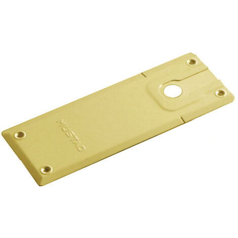 Plaque de pivot 710.01 pour série 8610 laiton poli LCN 3050705070
