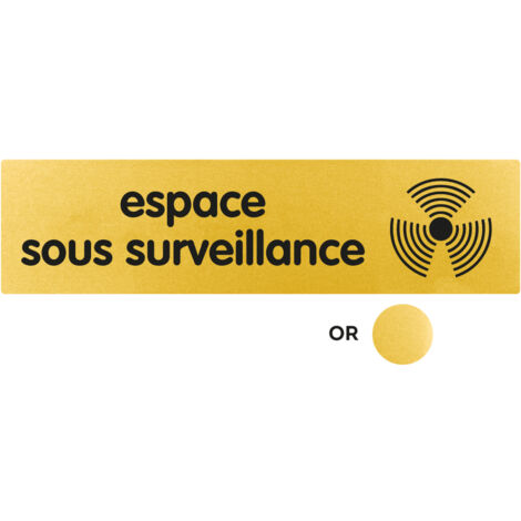 Plaque de porte Espace sous surveillance - Classique or 170x45mm - 4490526
