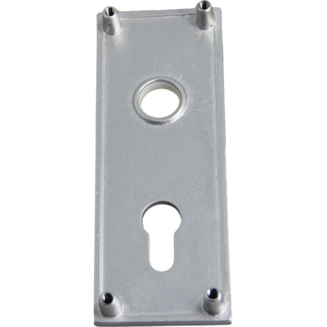 Plaque de propreté en aluminium argent 160x60mm – Protection serrure porte basculante – Installation facile et ajustement précis – WSS - 16570000114