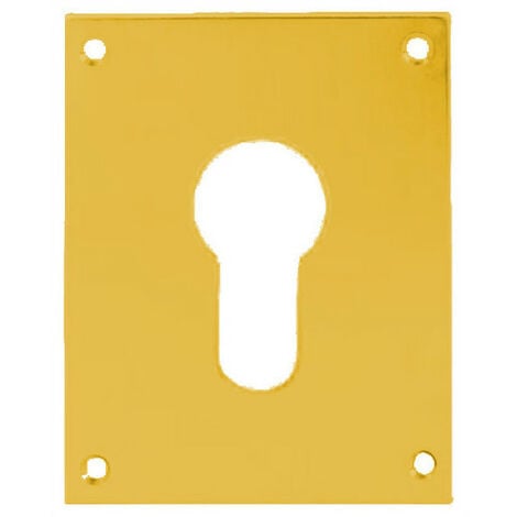 Plaque de propreté laiton poli clé I 90x65mm - HERACLES - 251752-CLEI
