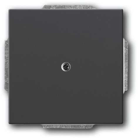 Plaque De Recouvrement Noir Mat 2CKA001710A3900 ABB 586865