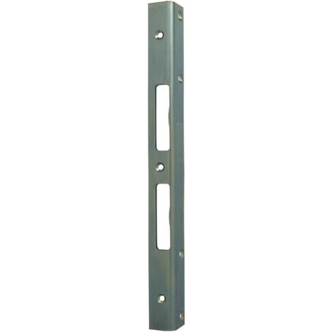 Plaque de verrou porte d'angle de sécurité L.300mm B.25mm S.3mm Acier galvanisé