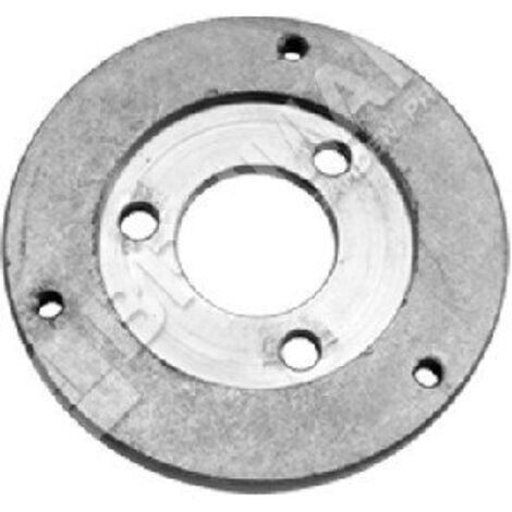 Plaque de volant moteur pour souffleurs GREEN LINE COMPATIBLE - 018936