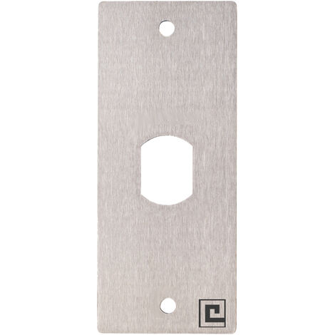Plaque inox 40x100mm T25 avec 2 vis antivandales - HERACLES - PCA-PL40PP