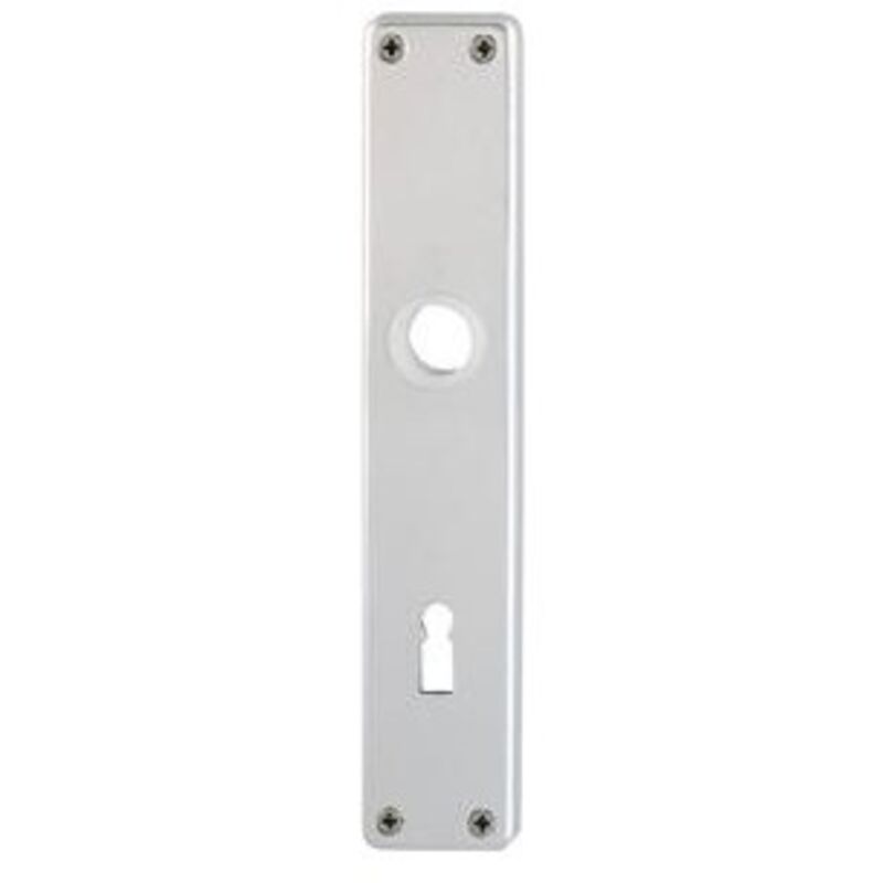 Plaque longue porte 202SP PZ55mmF1