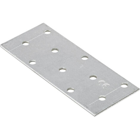 Plaque perforée 100x40x2.0 mm (Par 20)