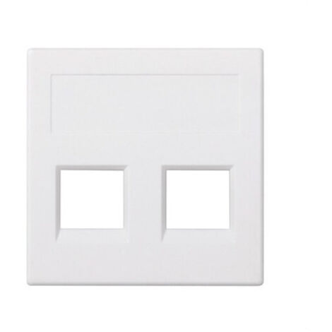 Plaque plate pour voix et données sg 2c amp / br / sy / kr / be blanc SIMON 50000189-030