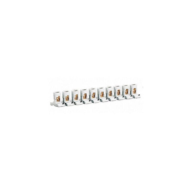 Legrand - Barrette de 10 bornes séparables avec capacité par borne 2x35mm² et pas 25mm 034004