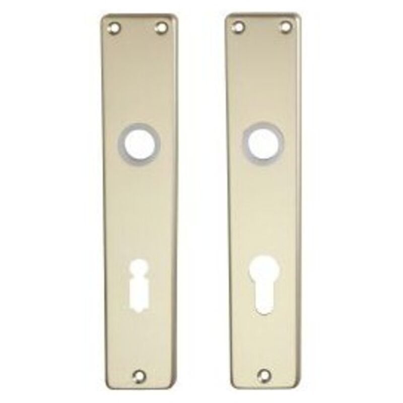 Plaque poignée porte Nr. 200 F2 (Par 10)