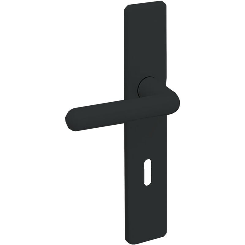 Jeu de plaque 8800 arcolor clé l noir Vachette 008995