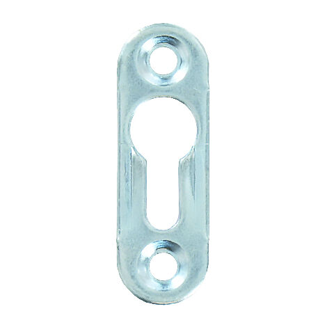 Plaquette  Acier Zingué 15x50mm - 2 Pce - Vynex