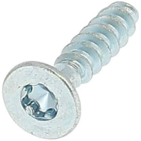 Plastite TF Torx 3X10 Zingué Wn 1423