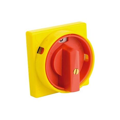 Plastron de sécurité cadenassable 72x72 - compatible interrupteur 36A et 40A