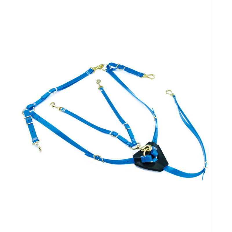 Taglia unica Cob/Full, Bleu Royal: Pectoral et martingale en biothane avec boucles plaquées laiton