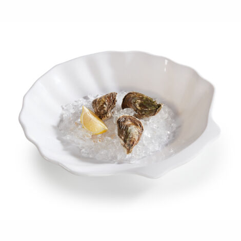 Plat de Présentation Mélamine Coquille Saint-Jacques 40 x 38,5 cm - Pujadas