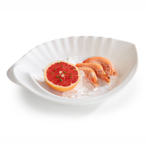 Plat en Mélamine Blanc Coquillage L 35 à 46 cm - Pujadas