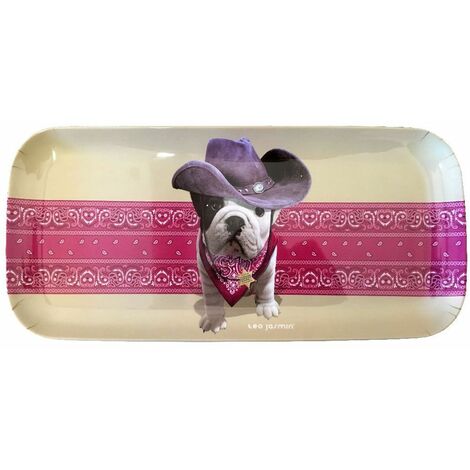 Le World Des Animux Mini Rectangular Tray With Bug Art Jewels
