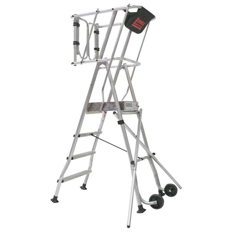 Plateforme roulante + portillon escabeau pir 2 marches 2,48 m geeko.max