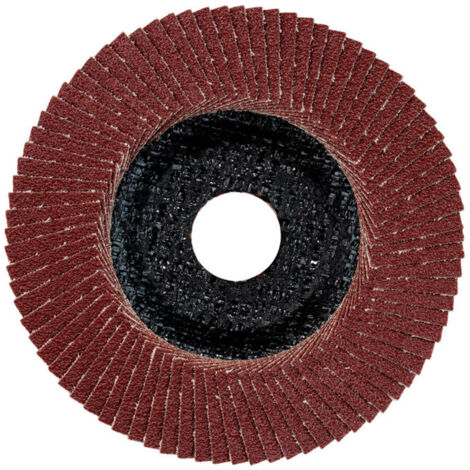 Plateau abrasif à lamelles 125 mm P 120, corindon brun, acier, métaux non-ferreux, modèle bombé metabo 10 pièces