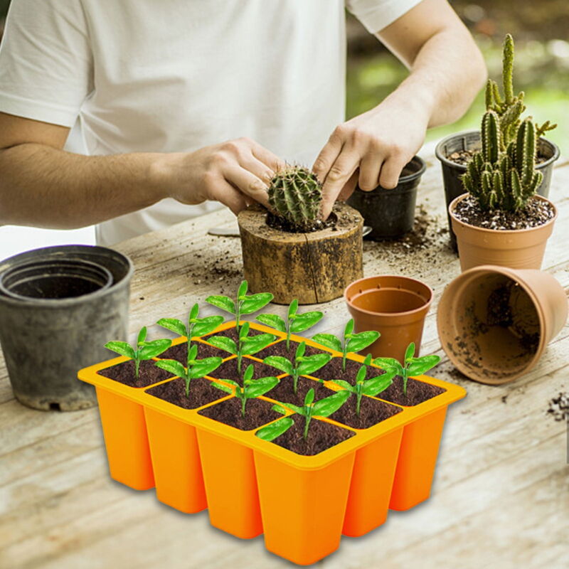 Plateau de démarrage de semences, kit de démarrage de semences, plateaux de démarrage de semences, kit de démarrage de plantes et base, mini-serre,