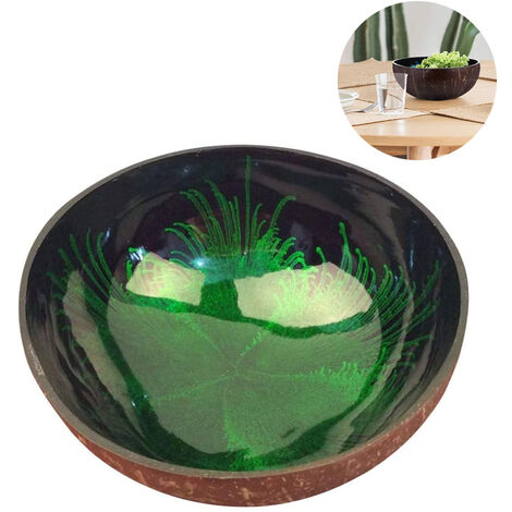 Plateau de rangement bol en coquille de noix de coco bol coquille de noix de coco importé décoration de la maison stockage saladier