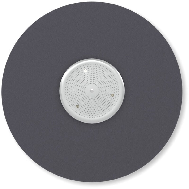 Plateau d'Entraînement pour Disques de Ponçage pour la Monobrosse Menzer esm 406