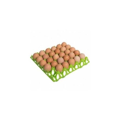 Plateau en plastique pour 30 œufs