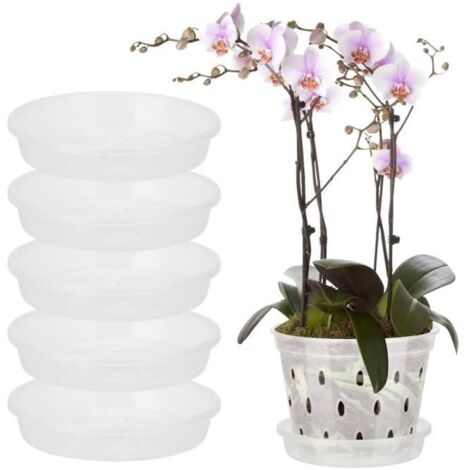 Plateau pour pot d\'orchidées - FUROKOY - Transparent - Respirant - Durable - 15 cm
