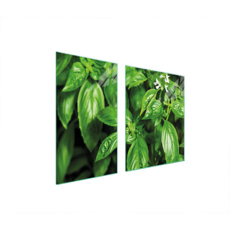 PLATO DE VIDRIO Y TABLA DE CORTAR 100x52 ALBAHACA