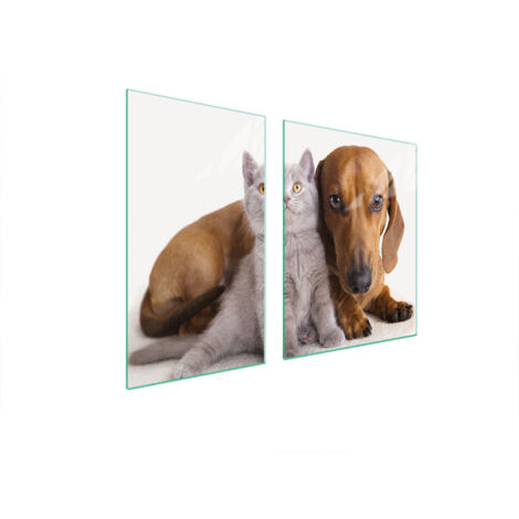 PLATO DE VIDRIO Y TABLA DE CORTAR 100x52 ANIMALES
