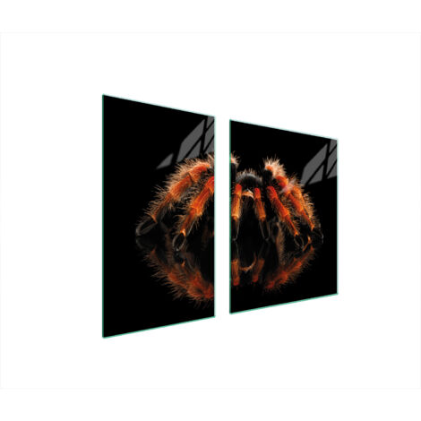 PLATO DE VIDRIO Y TABLA DE CORTAR 100x52 ARAÑA
