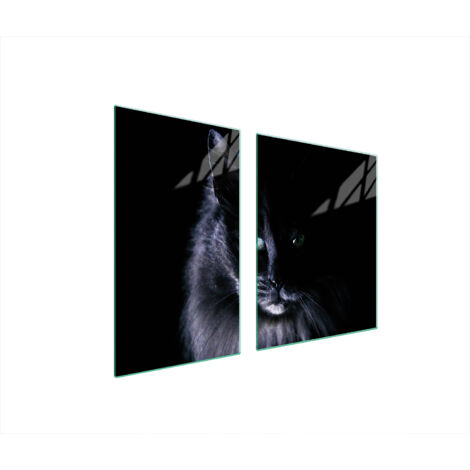 PLATO DE VIDRIO Y TABLA DE CORTAR 100x52 CAT