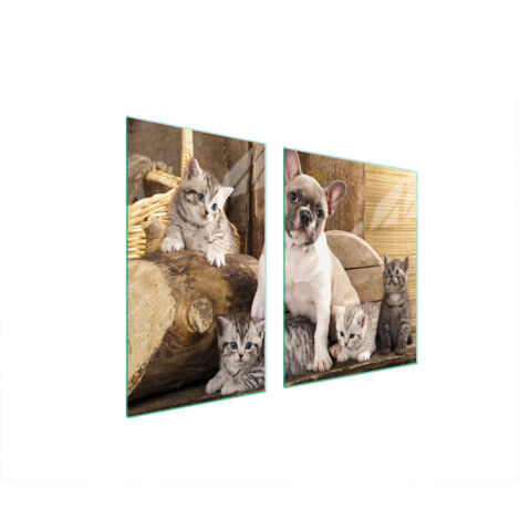 PLATO DE VIDRIO Y TABLA DE CORTAR 100x52 PERRO